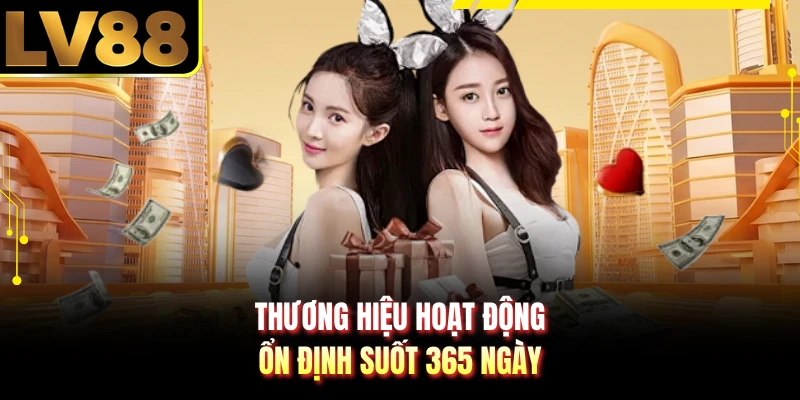 Thương hiệu hoạt động ổn định suốt 365 ngày